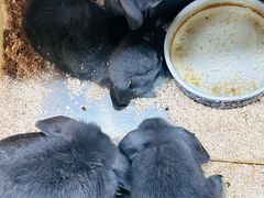 -上海大自然野生昆虫馆(东方明珠·爬宠昆虫探索中心)