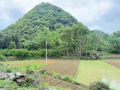 -高荡千年布依古寨旅游景区