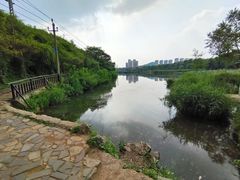 -前关湿地公园