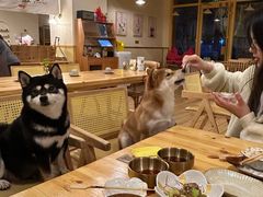 -柴の食堂·日式家庭料理·熊之肆(大学路店)