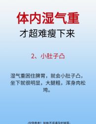 -Fundi张玉珊修身堂·indiba·BTL科技瘦身