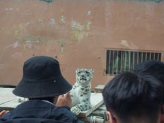 -青藏高原野生动物园