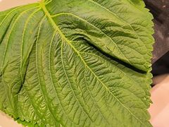 -梨花自助烤肉(西三旗万象汇黑金店)