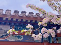 -海棠花溪(元大都城垣遗址公园)