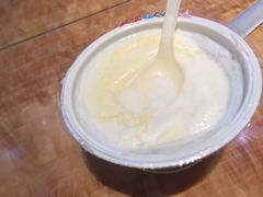 -德禄酸奶(莫家街店)