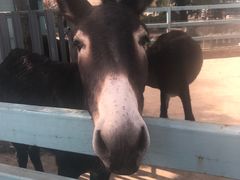 -酷鱼垂钓CLUB(朝阳区博大路店 )