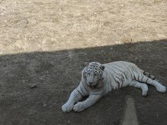 -济南野生动物世界