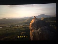 -铜锣湾国际购物中心