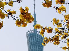 -洲头咀公园