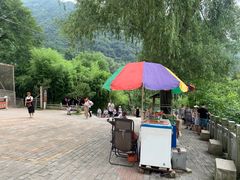 -王顺山国家森林公园