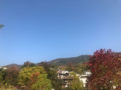-塔川景区