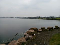 -鹅湖玫瑰文化园