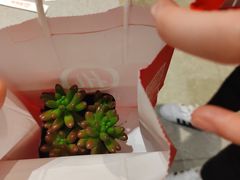 -海底捞火锅(振华广场生日主题店)