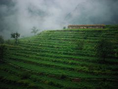 -白草畔自然风景区