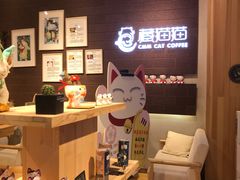 -藏猫猫咖啡主题馆(中央大道店)