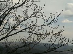 -帽儿山风景区