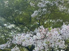 -浙江西子宾馆·瑶园咖啡厅