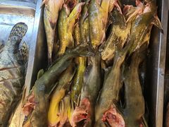 -老味道1992(武当山店)