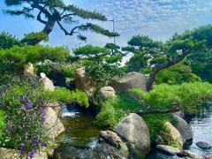 -罗红摄影艺术馆