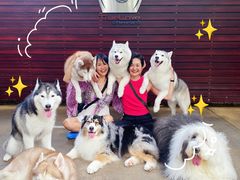 -TrueLove @ Neverland (Husky Cafe)