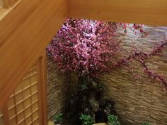 -鸥迪足道(老虎滩店)