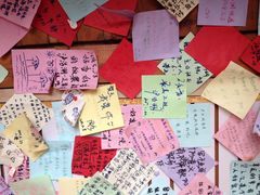 iphone_upload_pic-泸沽肴(泸沽湖大洛水村农村信用社旁店)