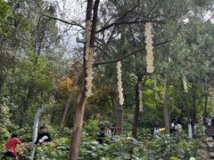 -云龙山