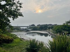 -宝安西湾红树林湿地公园