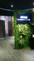 点击看大图 -藤野造型