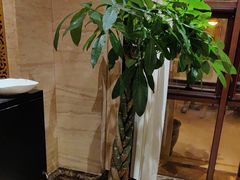 -洛阳宴·洛阳菜(南昌路店)