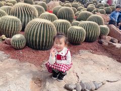 -南通洲际绿博园