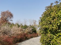 -淇河国家湿地公园