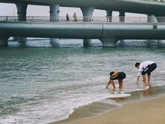 -演武大桥观景平台