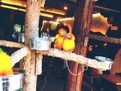 -三亚千古情景区游客中心-接待中心