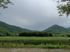 -八卦田遗址公园