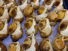 -圣丰索菲特·2 On 988 Café 自助餐厅