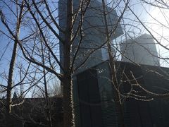 -1点点(银座和谐广场店)