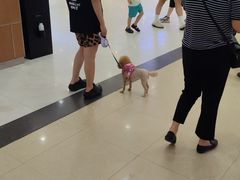 -永旺梦乐城(金银潭店)