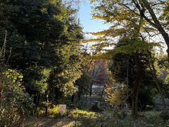 -井之头恩赐公园