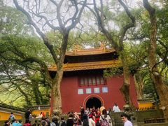 -普陀山风景名胜区-法雨禅寺