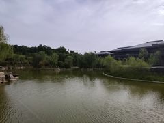 -鹦鹉寺公园