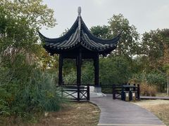 -南湖湿地公园
