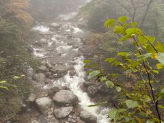 -青峰峡国家森林公园