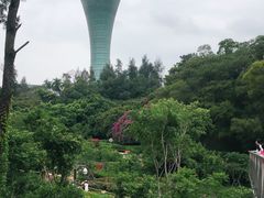 -狐尾山公园