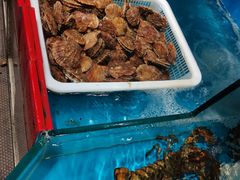 -王大厨·海鲜·家常菜