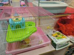 -宠爱我(南山店)