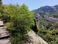 -大罗山风景区