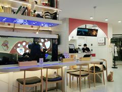 -喵园·猫主题咖啡厅·撸猫·猫咖(国贸店)