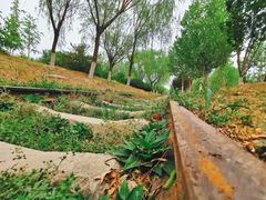 -永定河休闲森林公园