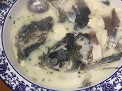 -全乐鱼馆·淳牌有机鱼直营店